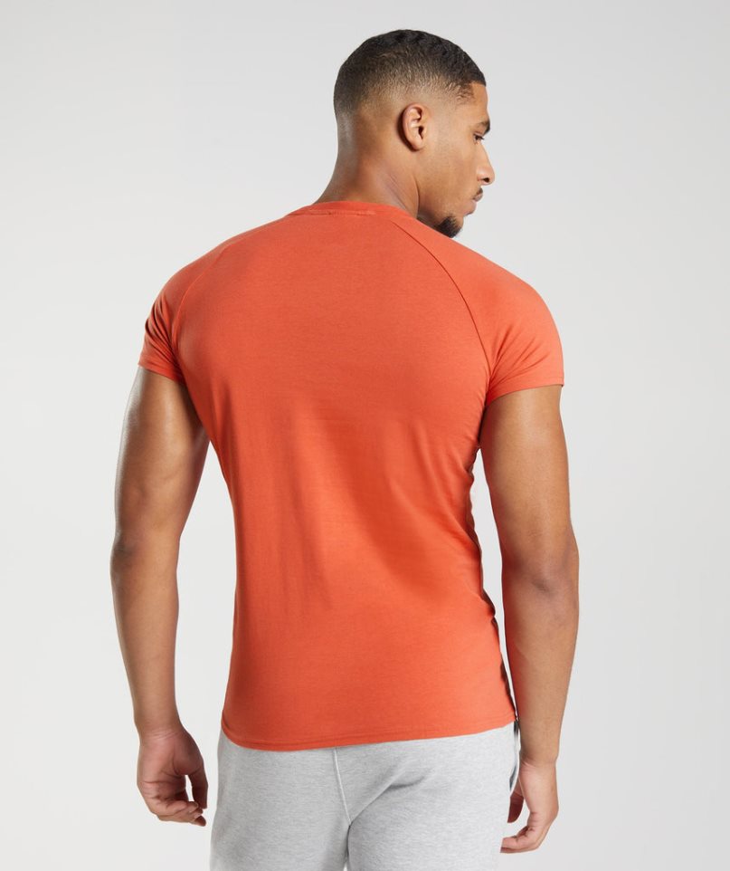 Gymshark Apollo T-shirts Herren Orange | AT-08-GKCL