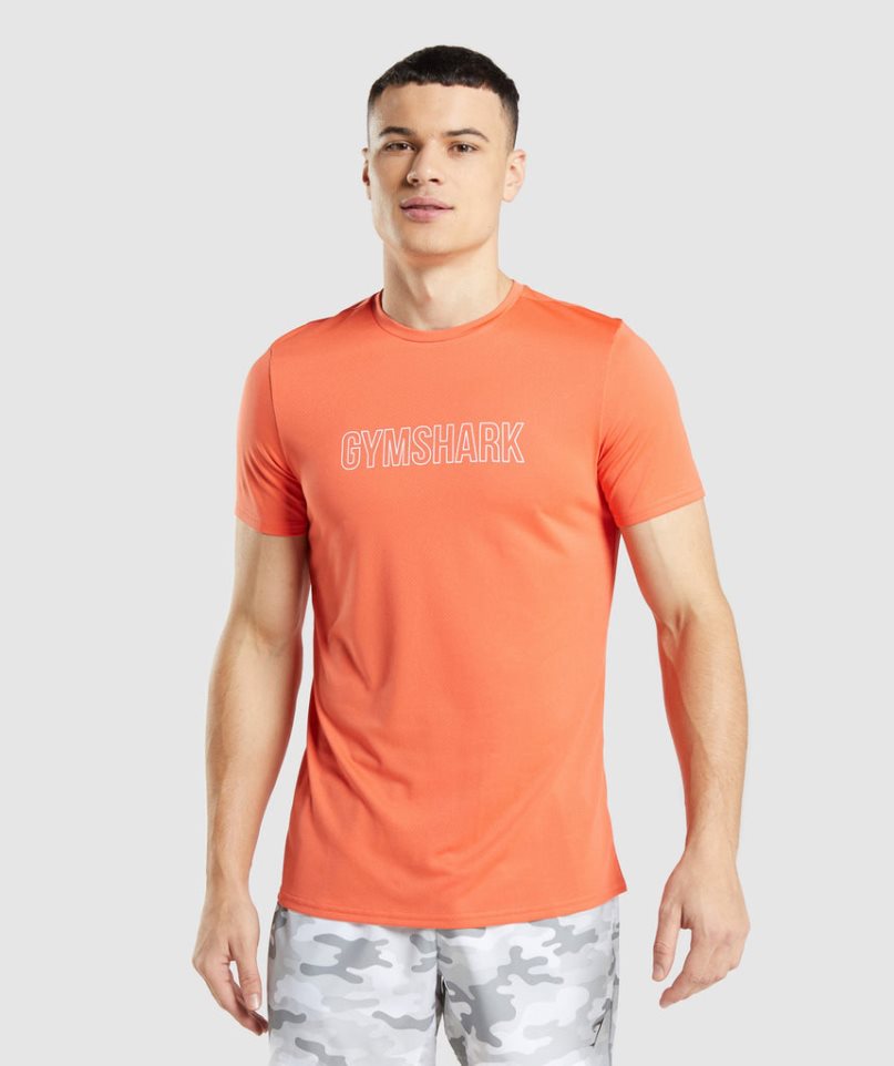 Gymshark Arrival Graphic T-shirts Herren Orange | AT-61-BUYC