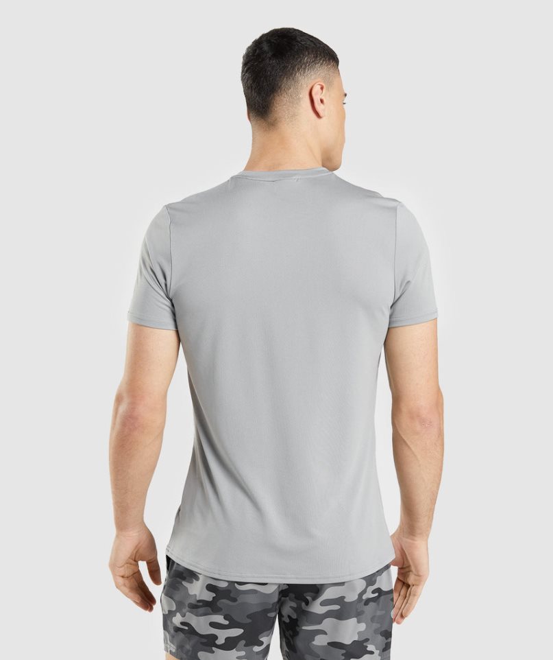 Gymshark Arrival Graphic T-shirts Herren Hellgrau | AT-82-NLGF