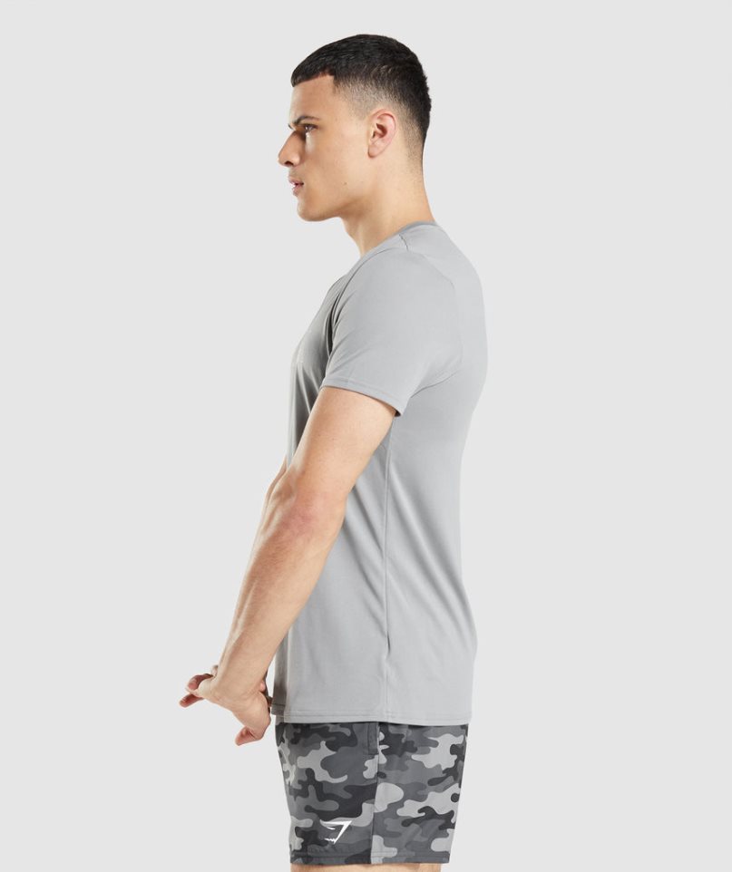 Gymshark Arrival Graphic T-shirts Herren Hellgrau | AT-82-NLGF