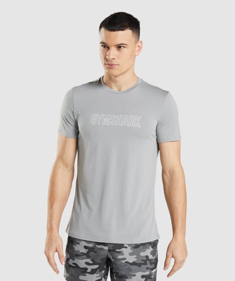 Gymshark Arrival Graphic T-shirts Herren Hellgrau | AT-82-NLGF