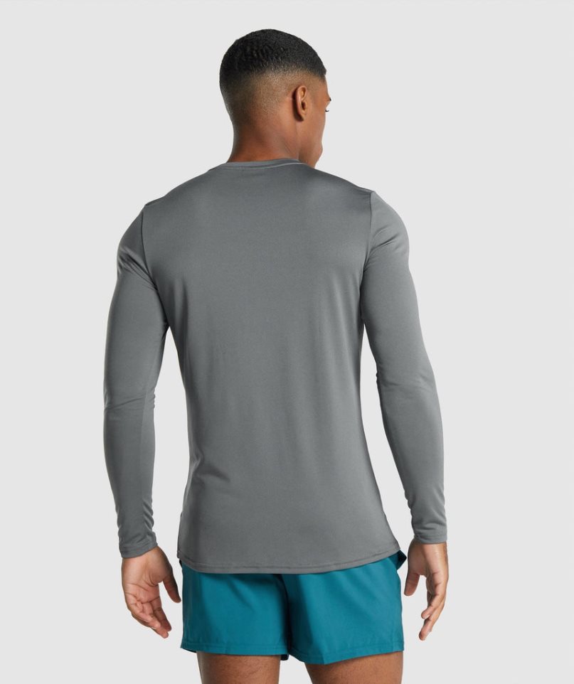 Gymshark Arrival Long Sleeve Graphic T-shirts Herren Grau | AT-06-LJCZ