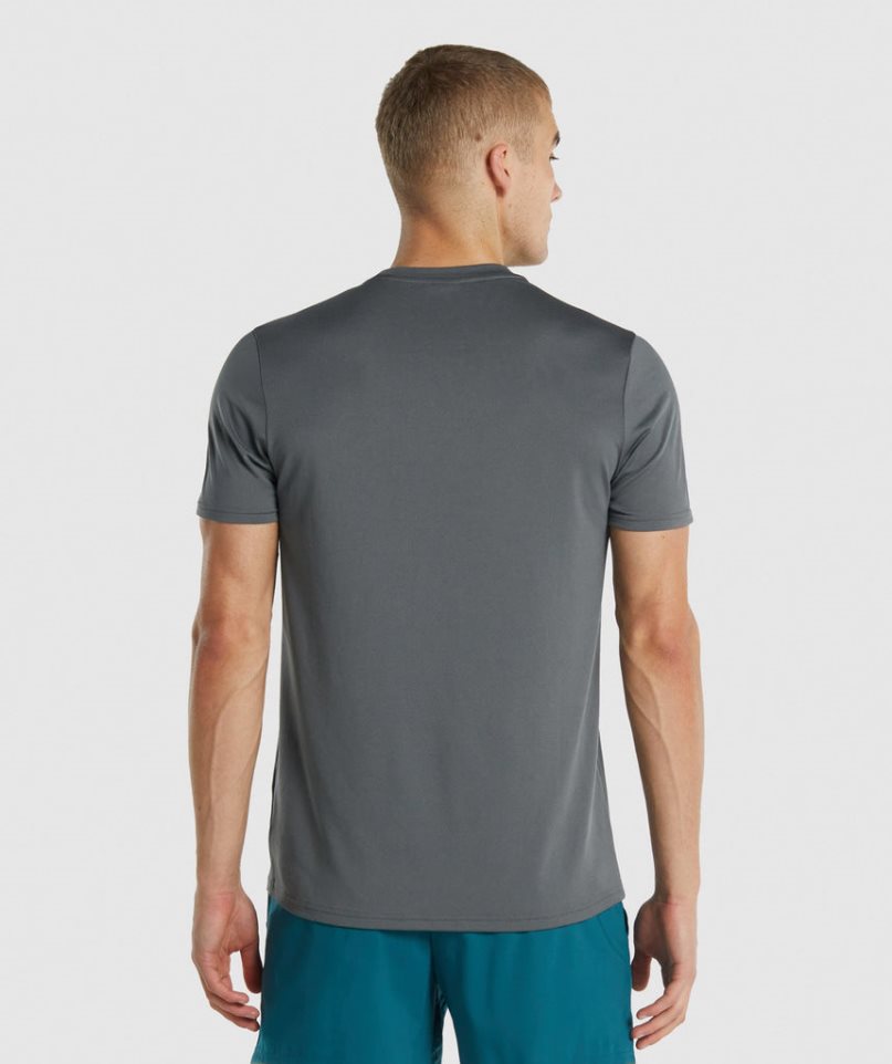 Gymshark Arrival Regular Fit T-shirts Herren Grau | AT-09-CLPT