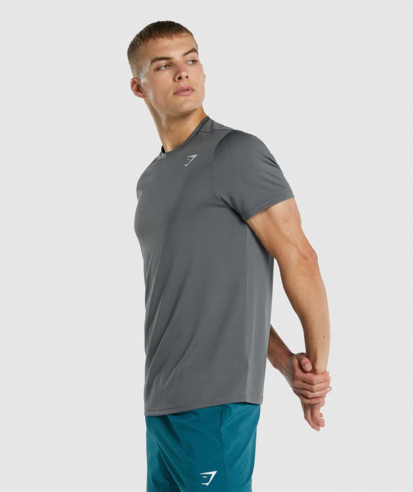 Gymshark Arrival Regular Fit T-shirts Herren Grau | AT-09-CLPT