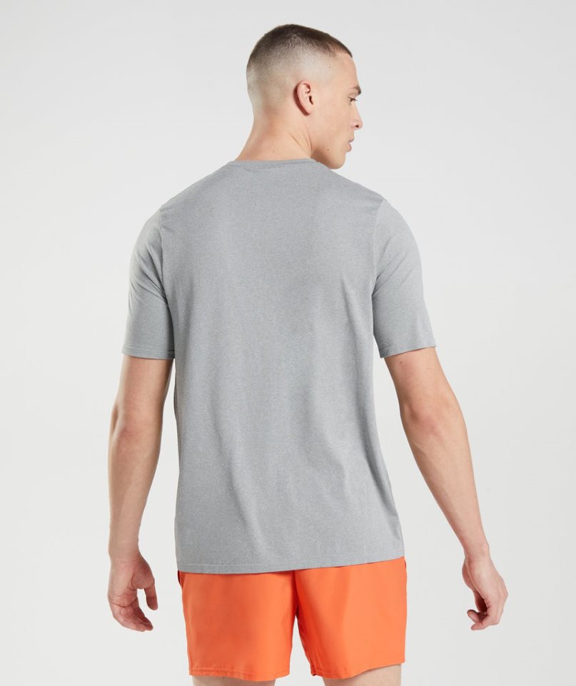 Gymshark Arrival Seamless T-shirts Herren Hellgrau | AT-25-GOBQ