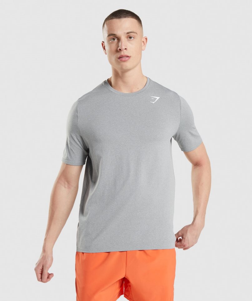 Gymshark Arrival Seamless T-shirts Herren Hellgrau | AT-25-GOBQ