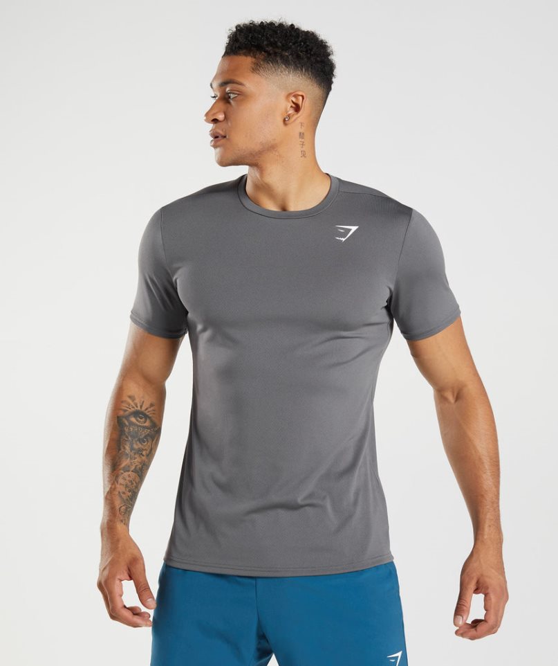 Gymshark Arrival T-shirts Herren Grau | AT-94-RKYS