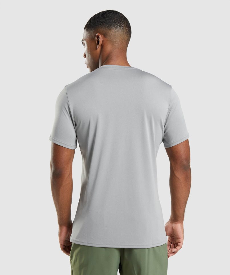 Gymshark Arrival T-shirts Herren Hellgrau | AT-89-LEIN