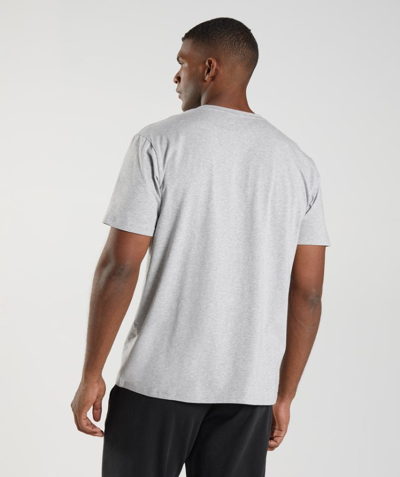 Gymshark Block T-shirts Herren Hellgrau | AT-89-MWES