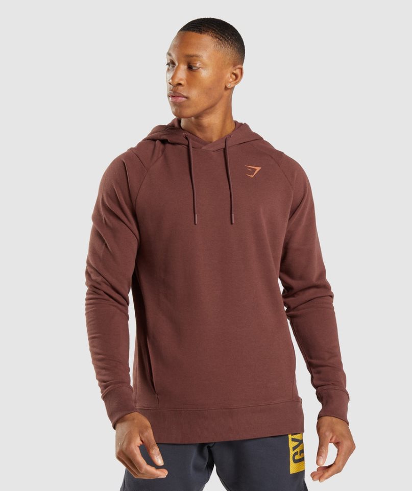 Gymshark Bold Hoodie Herren Braun | AT-57-LYXA