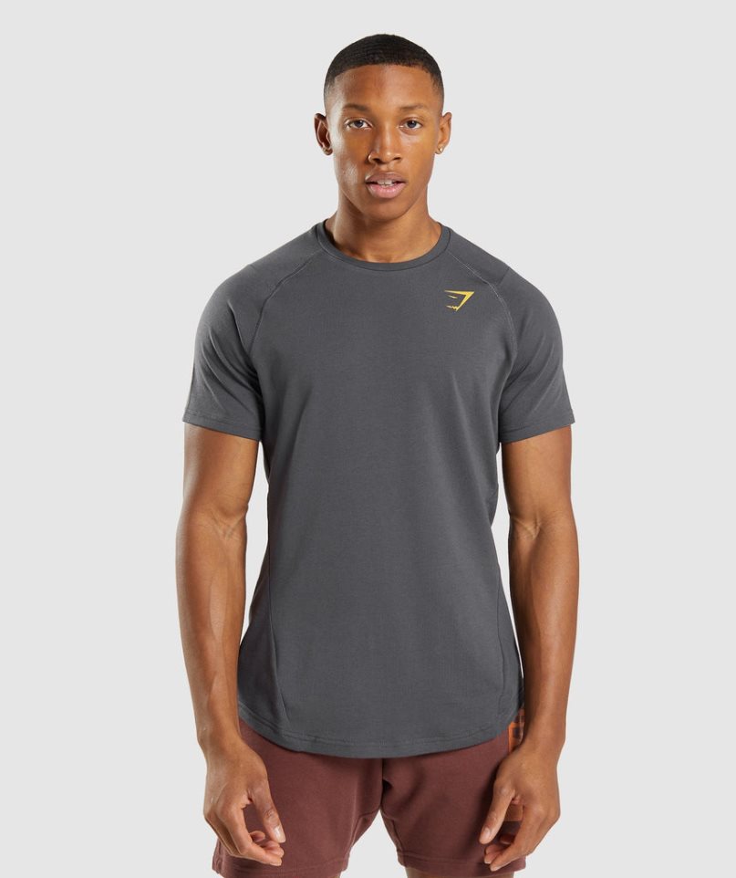 Gymshark Bold T-shirts Herren Dunkelgrau | AT-24-FIOC