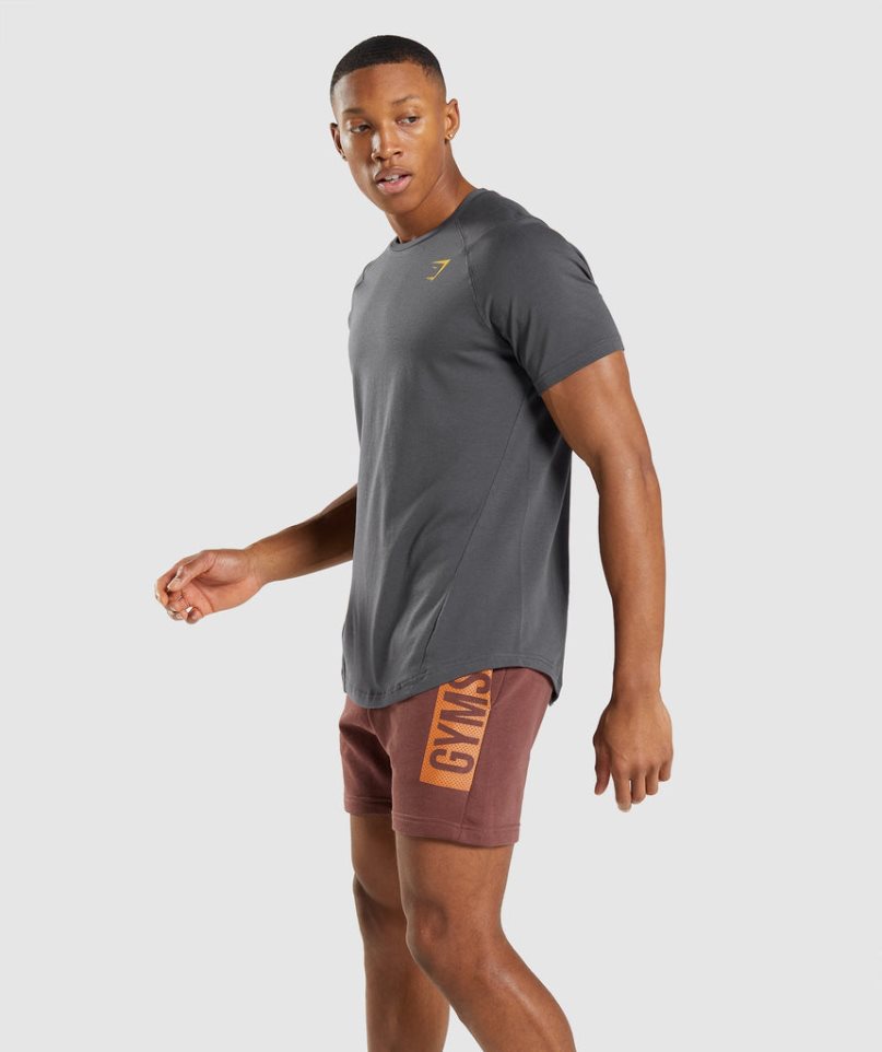 Gymshark Bold T-shirts Herren Dunkelgrau | AT-24-FIOC