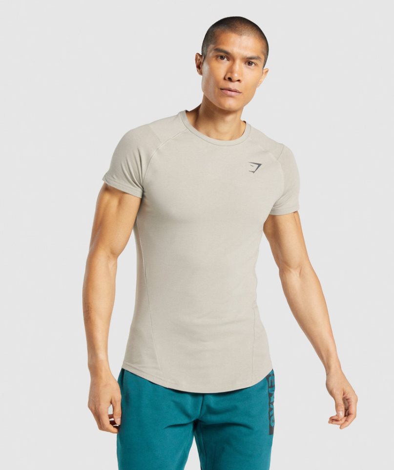 Gymshark Bold T-shirts Herren Grau | AT-38-BAMX