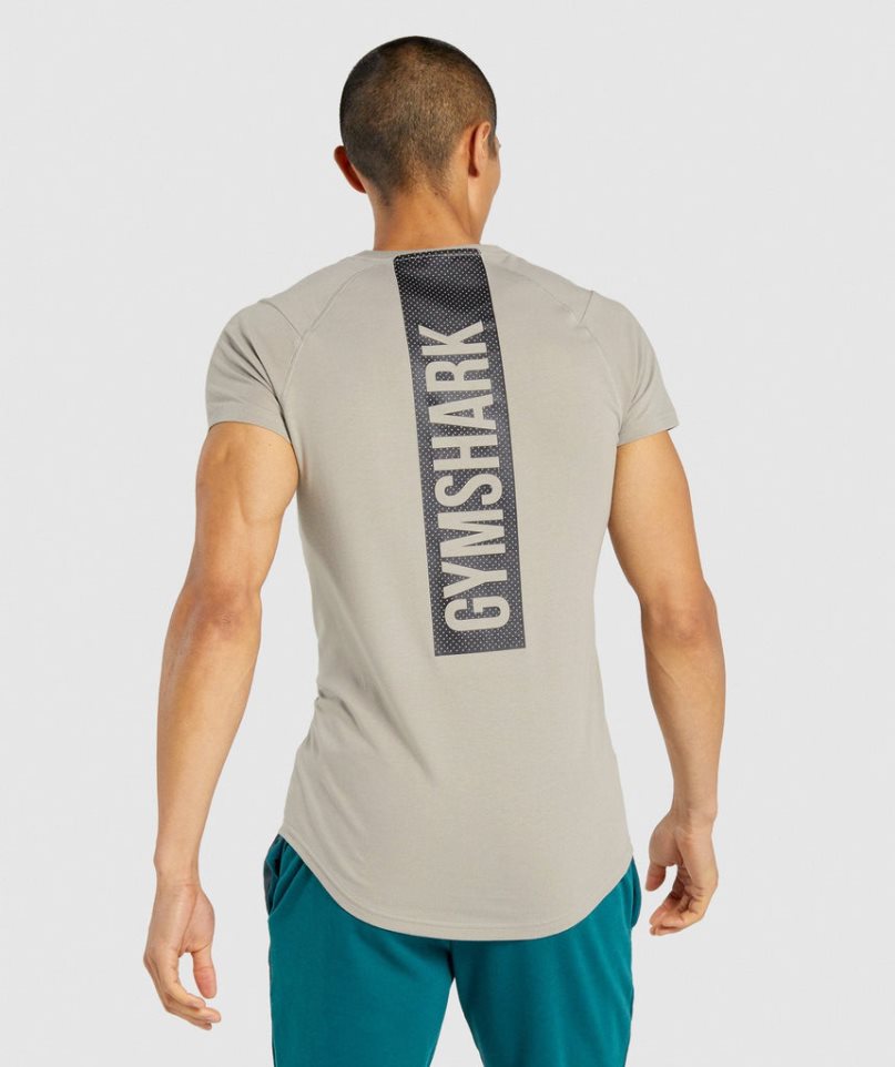 Gymshark Bold T-shirts Herren Grau | AT-38-BAMX