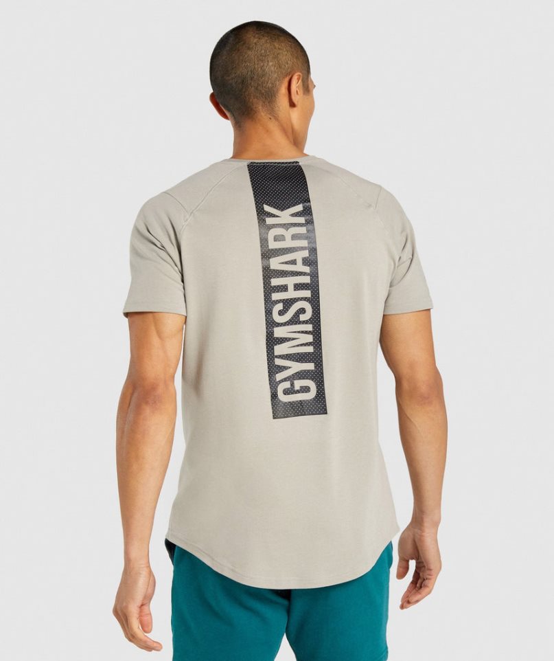 Gymshark Bold T-shirts Herren Grau | AT-63-OWCL