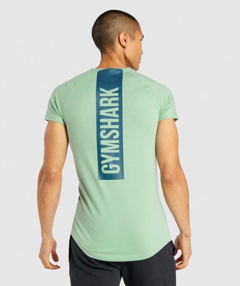 Gymshark Bold T-shirts Herren Grün | AT-89-ZLIK