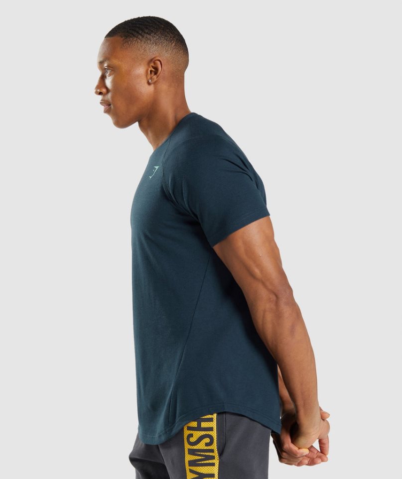 Gymshark Bold T-shirts Herren Navy | AT-13-SARI