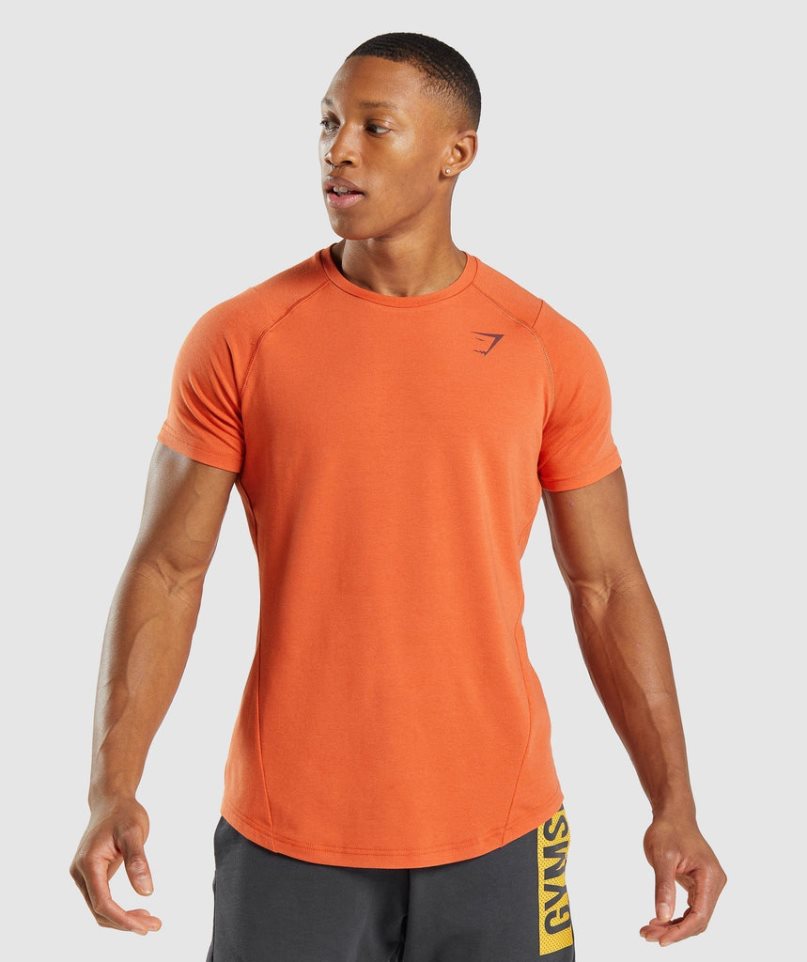 Gymshark Bold T-shirts Herren Orange | AT-83-SZPW