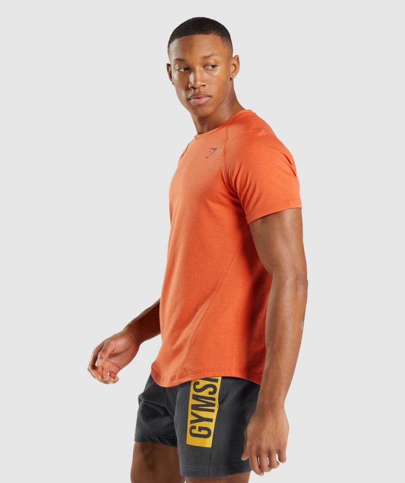 Gymshark Bold T-shirts Herren Orange | AT-83-SZPW