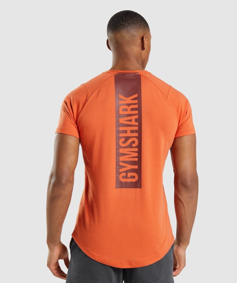 Gymshark Bold T-shirts Herren Orange | AT-83-SZPW