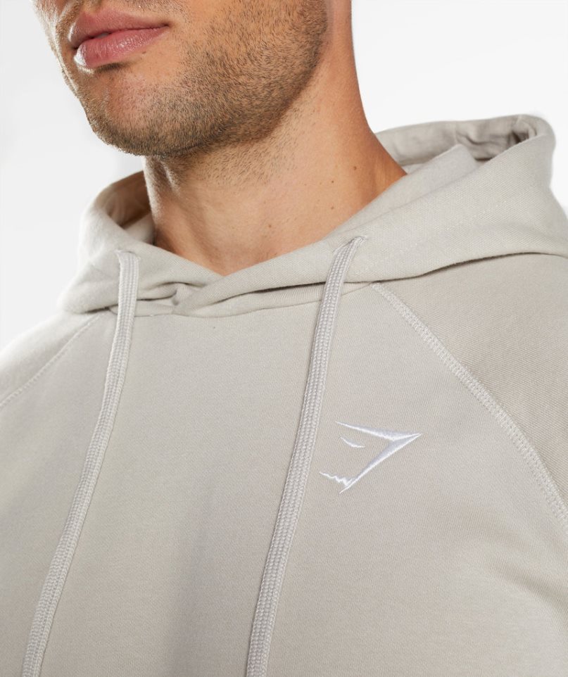 Gymshark Crest Hoodie Herren Hellgrau | AT-56-GYZU