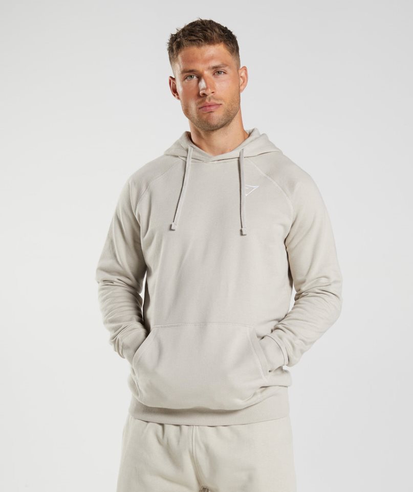 Gymshark Crest Hoodie Herren Hellgrau | AT-56-GYZU