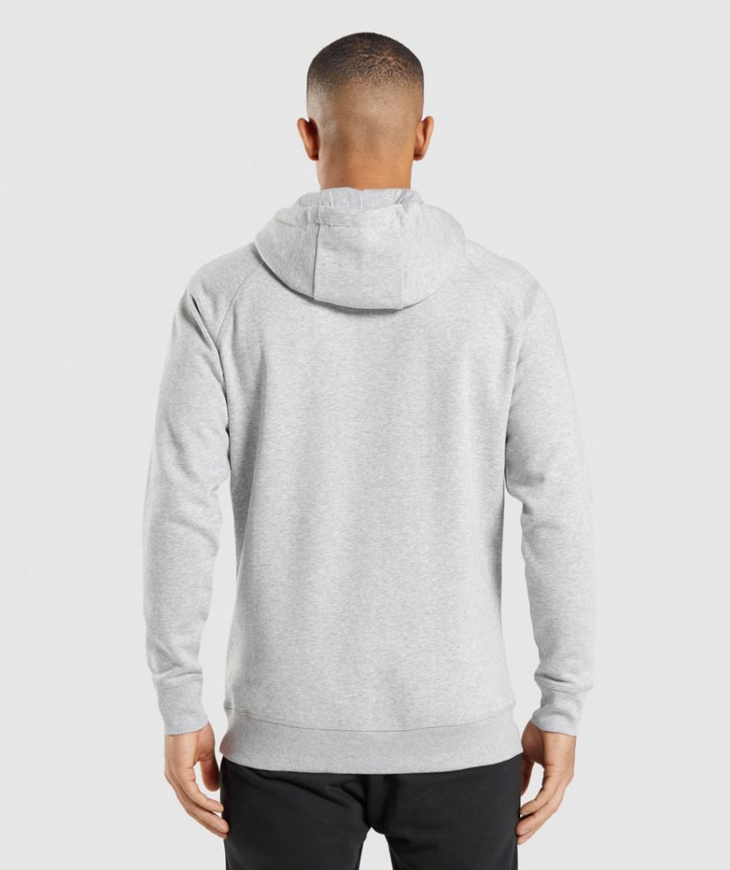 Gymshark Crest Hoodie Herren Hellgrau | AT-83-ZXSY