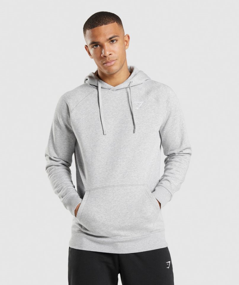 Gymshark Crest Hoodie Herren Hellgrau | AT-83-ZXSY