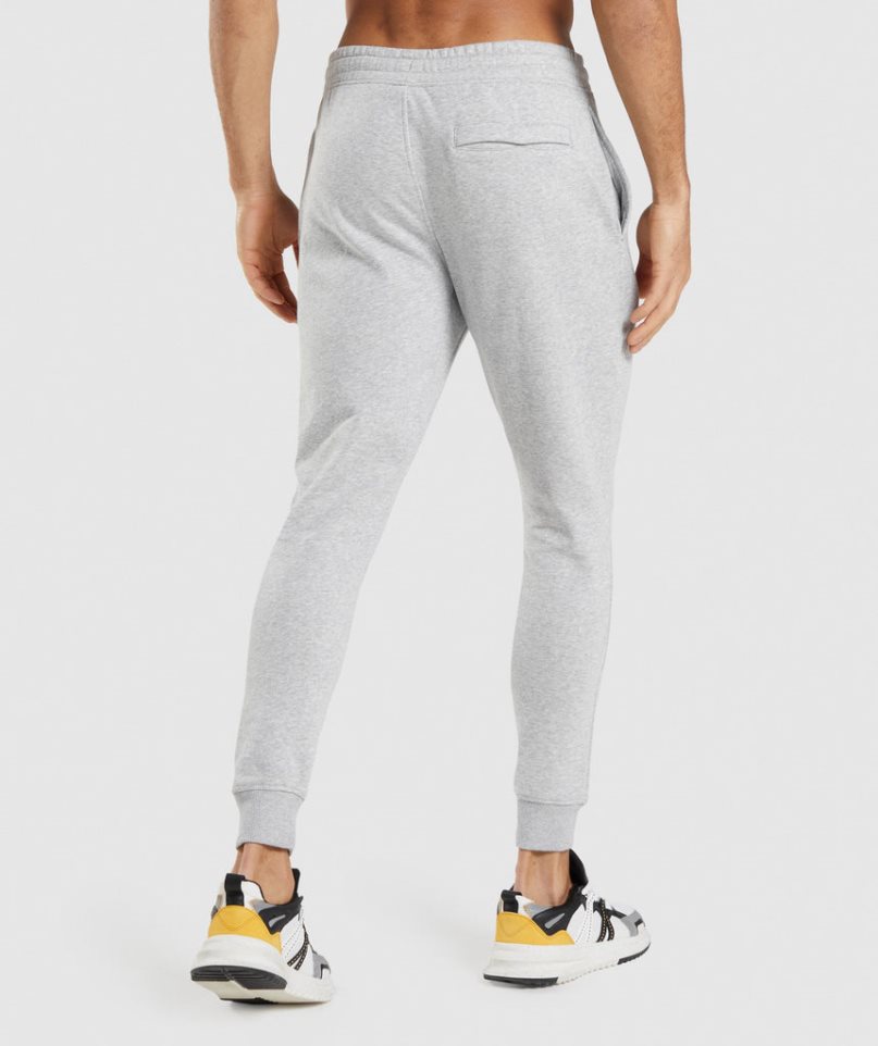 Gymshark Crest Jogginghose Herren Hellgrau | AT-14-OEHA