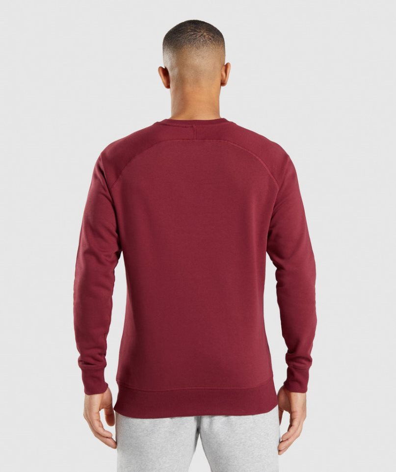 Gymshark Crest Sweatshirts Herren Bordeaux | AT-95-JGCL