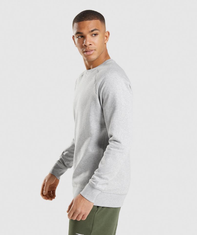 Gymshark Crest Sweatshirts Herren Hellgrau | AT-52-MHDS