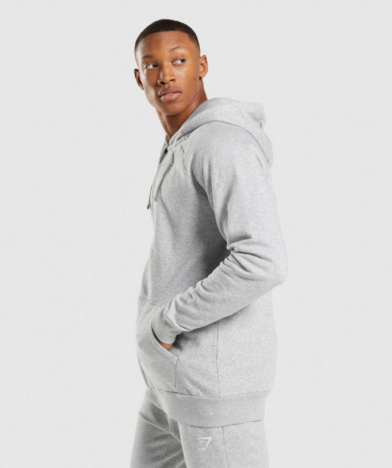 Gymshark Crest Zip Up Hoodie Herren Hellgrau | AT-61-XEVF