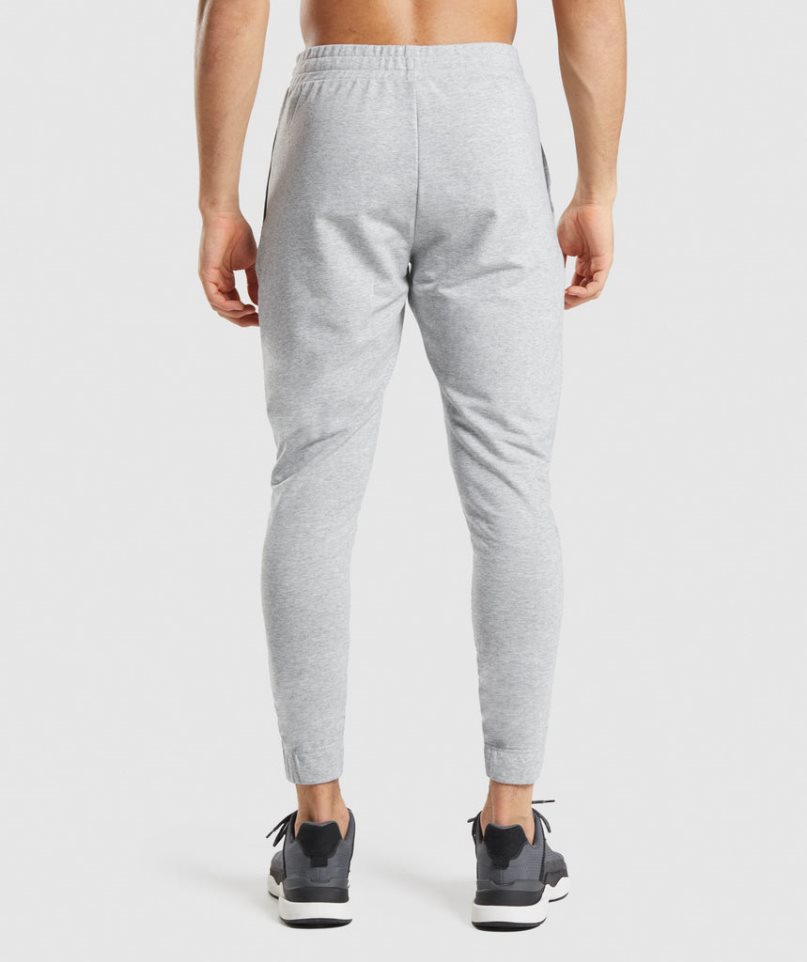 Gymshark Critical 2.0 Jogginghose Herren Hellgrau | AT-70-PHFV