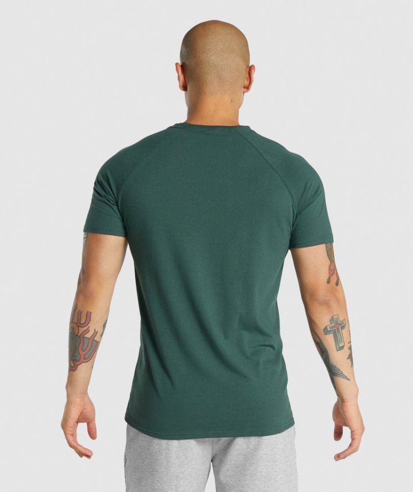 Gymshark Critical 2.0 T-shirts Herren Dunkelgrün | AT-46-LKSY