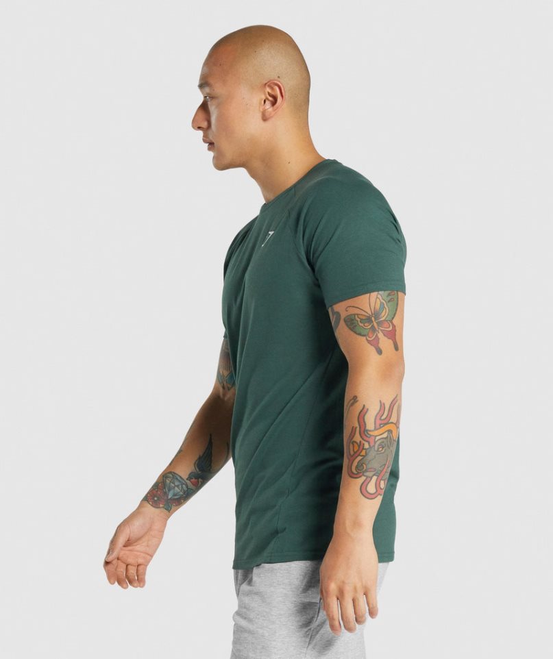 Gymshark Critical 2.0 T-shirts Herren Dunkelgrün | AT-46-LKSY