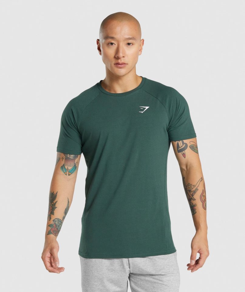 Gymshark Critical 2.0 T-shirts Herren Dunkelgrün | AT-46-LKSY