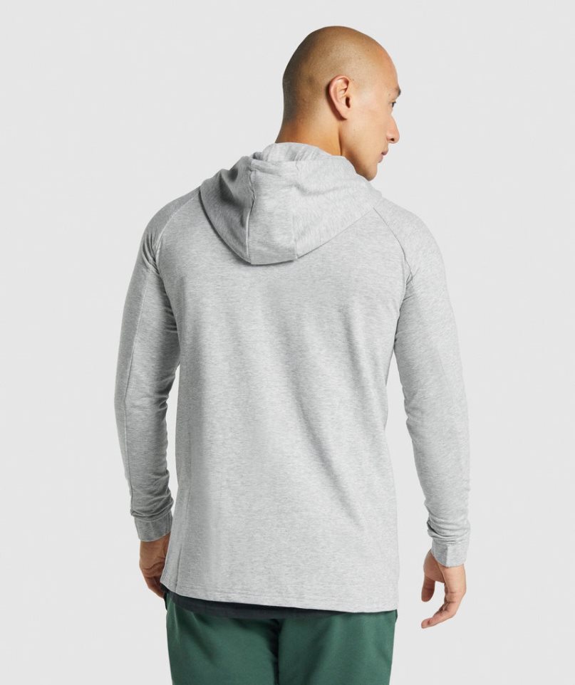 Gymshark Critical 2.0 Zip Up Hoodie Herren Hellgrau | AT-29-SUJZ