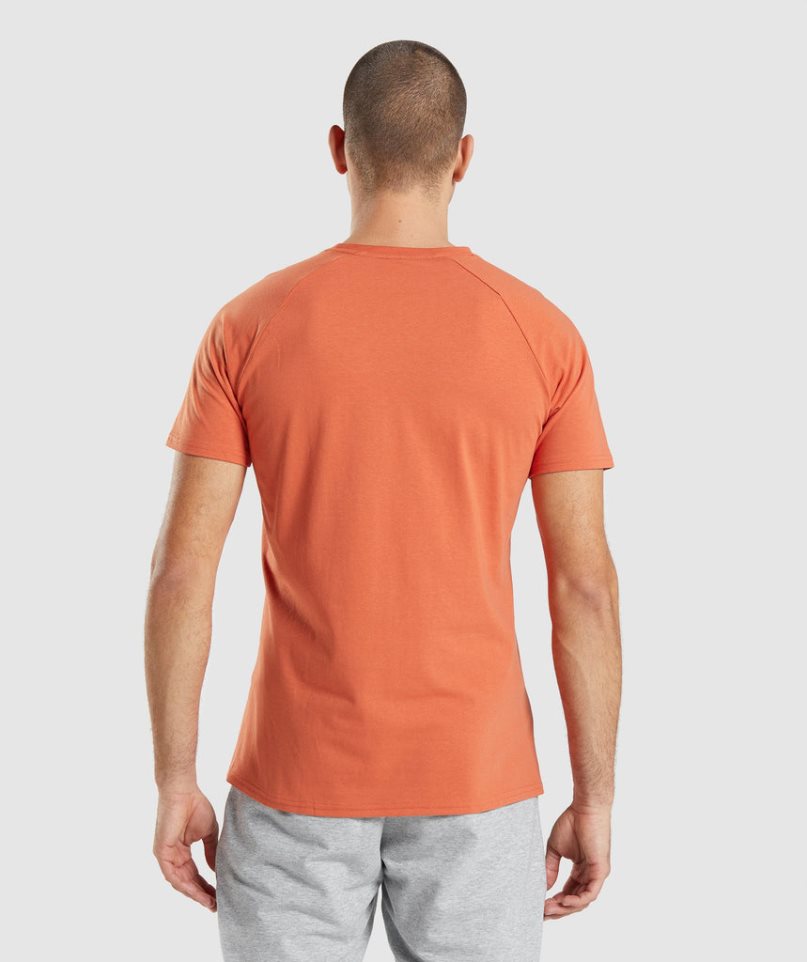 Gymshark Critical T-shirts Herren Orange | AT-34-OCUG