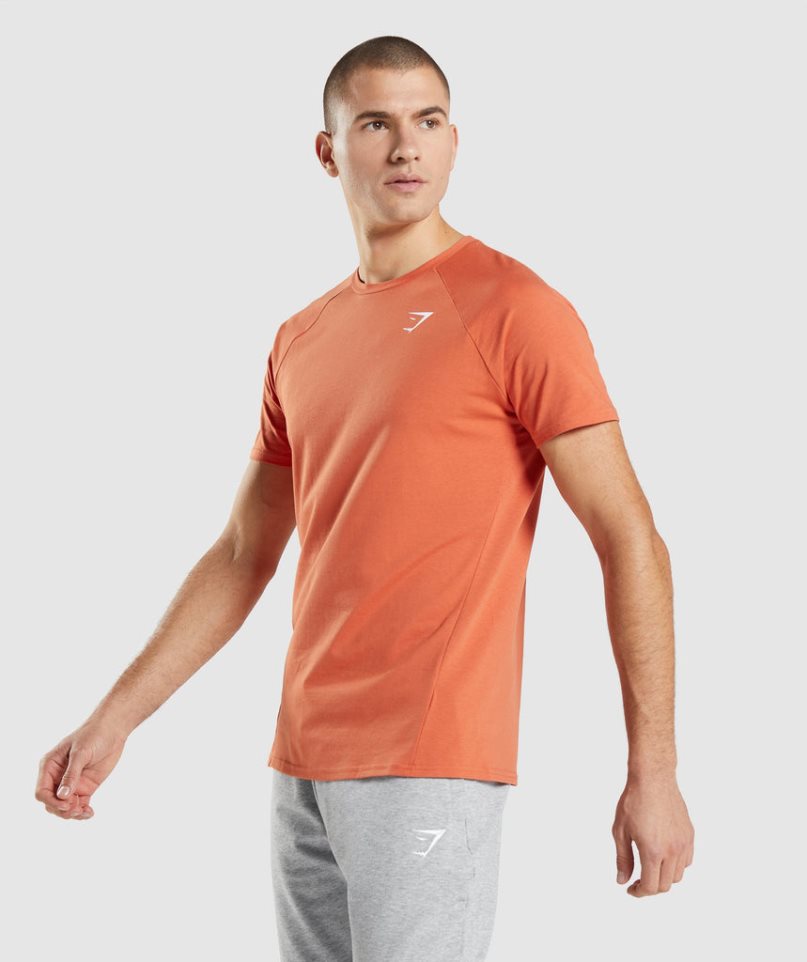 Gymshark Critical T-shirts Herren Orange | AT-34-OCUG