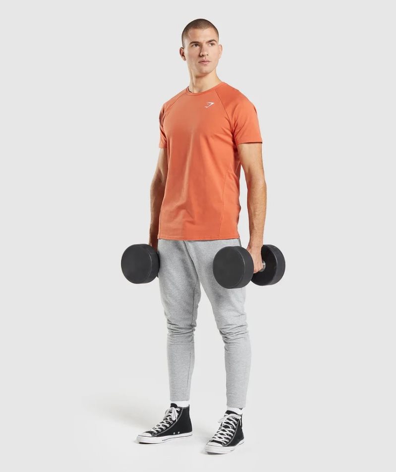 Gymshark Critical T-shirts Herren Orange | AT-34-OCUG