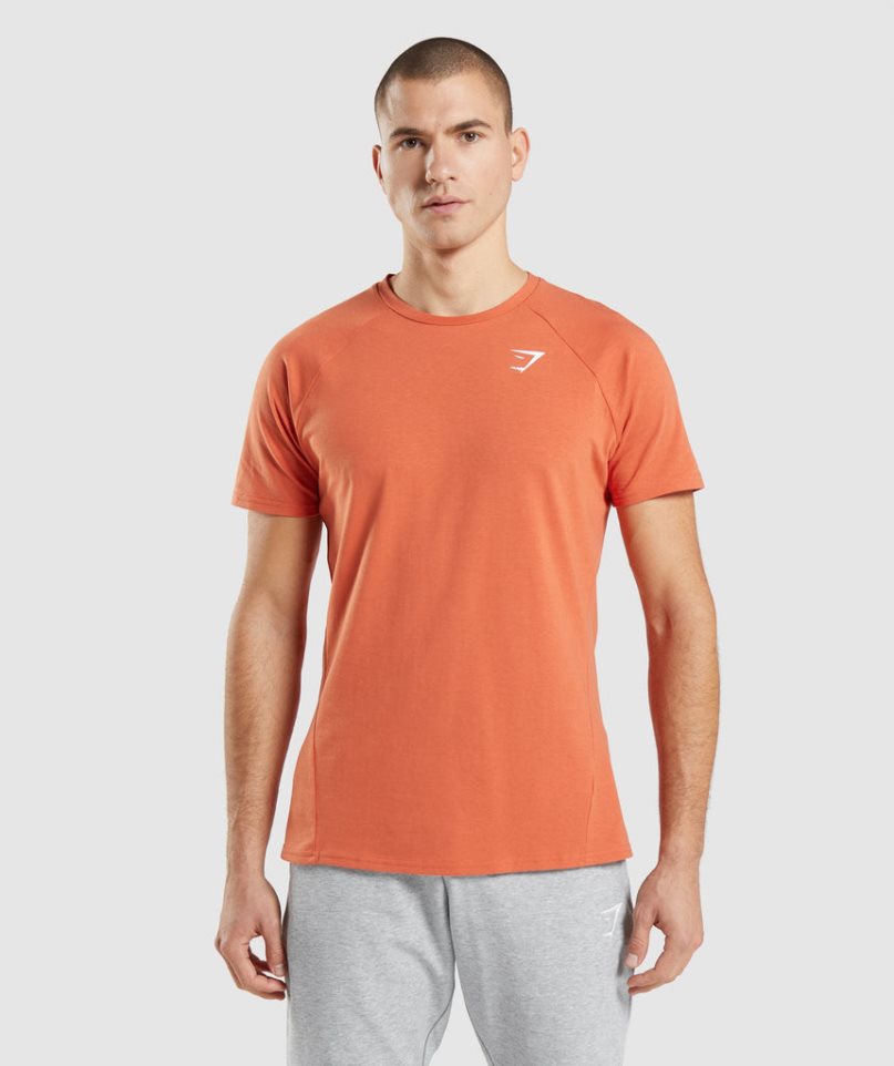 Gymshark Critical T-shirts Herren Orange | AT-34-OCUG