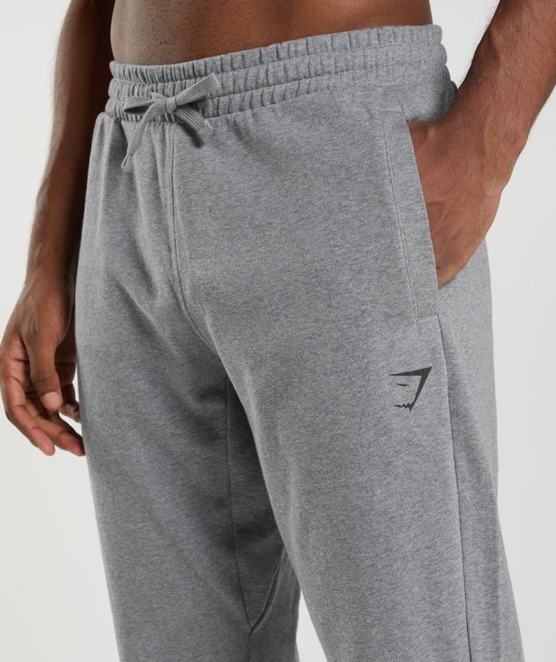 Gymshark Essential Oversized Jogginghose Herren Grau | AT-60-ZTKR