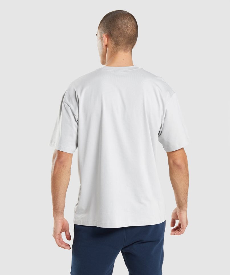 Gymshark Essential Oversized T-shirts Herren Hellgrau | AT-54-OCGY