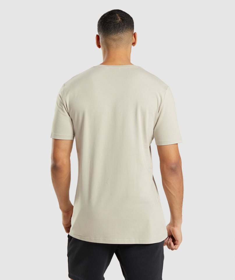 Gymshark Essential T-shirts Herren Beige | AT-10-DFGO