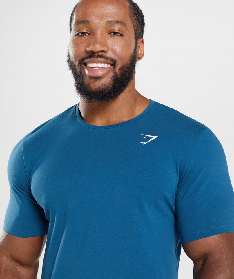 Gymshark Essential T-shirts Herren Blau | AT-03-YDKA