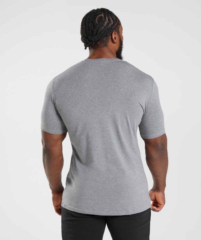 Gymshark Essential T-shirts Herren Grau | AT-50-ONIG