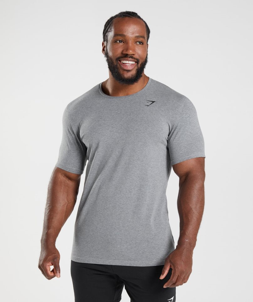 Gymshark Essential T-shirts Herren Grau | AT-50-ONIG