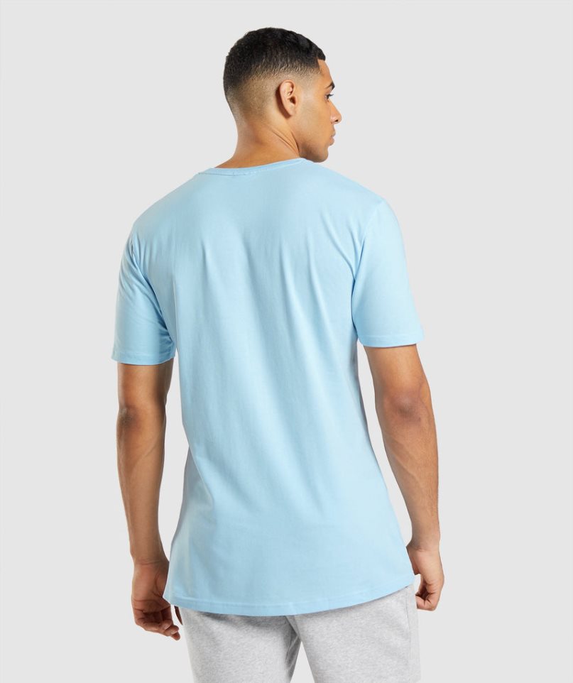 Gymshark Essential T-shirts Herren Hellblau | AT-26-DIXS