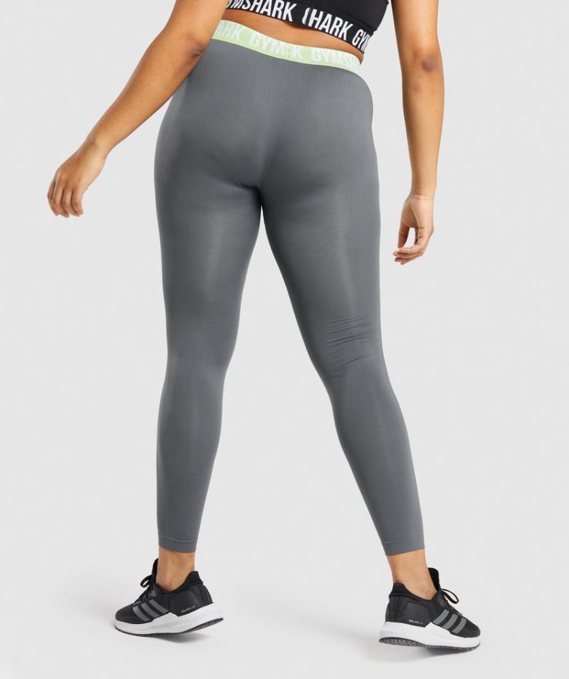 Gymshark Fit Seamless Leggings Damen Grau | AT-41-UBJY