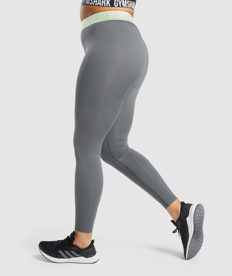 Gymshark Fit Seamless Leggings Damen Grau | AT-41-UBJY